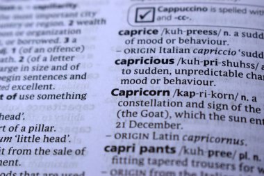 İngilizce Tanımlama Sözlüğü Kapalı Sayfa Sözlüğü - Oğlak 