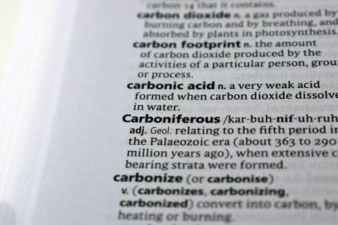 İngilizce Sözlük Sayfası Karbonhidratın Anlamı Sözcüğünü Kapat 