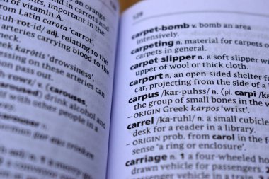 Kelime ile Sayfa Yazdırma Sözlüğünün Tanımı - carpus