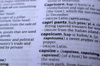 İngilizce Sözlük Sayfası Yazdır - Capsicum Sözcüğünün Anlamı ile Kapat