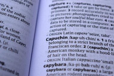 Definition Of English Dictionary Close Up Of Page Print With Word - capuchin