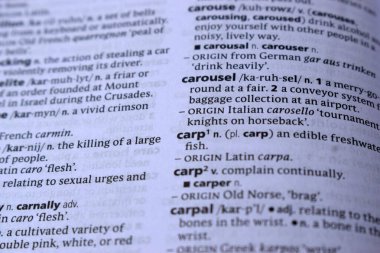 İngilizce Sözlük Sayfası Sazan Kelimesi ile Kapat