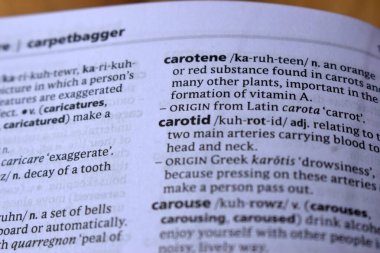 İngilizce Tanımlama Sözlüğünün Kapat Sayfa Kelimesi - şah damarı