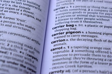 Kelime ile Sayfa Yazdırma Sözlüğünün Tanımı - posta güvercini