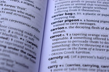 İngilizce sözlük sayfası - leş kelimesinin anlamı ile kapat