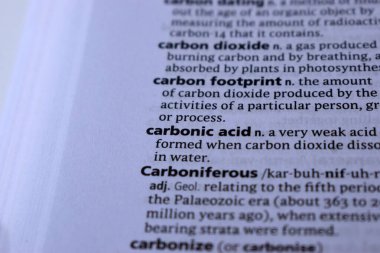 Kelime ile Sayfa Yazdırma Sözlüğünün Tanımı - Karbonik Asit