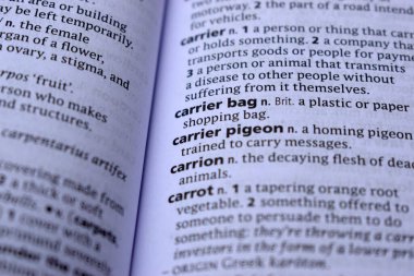 İngilizce Tanımlama Sözlüğü 'nün Kapalı Sayfa Kelimesi - Taşıyıcı Çanta