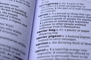 Kelime ile Sayfa Yazdırma Sözlüğünün Tanımı - Taşıyıcı çanta