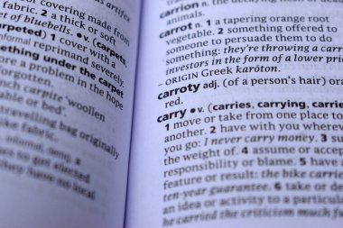 İngilizce Sözlük Sayfası Havucun Anlamı Sözcüğünü Kapat