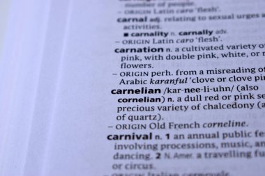 Kelime ile Sayfa Yazdırma Sözlüğünün Tanımı - Carnelian