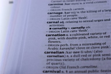 Kelime ile Sayfa Yazdırma Sözlüğünün Tanımı - Şehvet