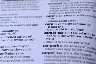 Kelime ile Sayfa Yazdırma Sözlüğünün Tanımı - karpal