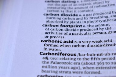 Kelime ile Sayfa Yazdırma Sözlüğünün Tanımı - Karbonik Asit