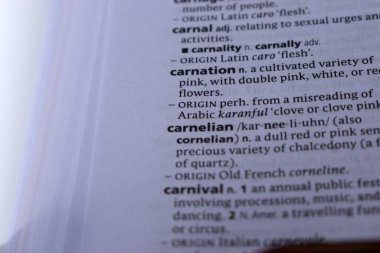 İngilizce Tanımlama Sözlüğünün Kapat Sayfa Kelimesi - karanfil