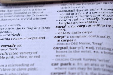 İngilizce Tanımlama Sözlüğünün Kapat Sayfa Kelimesi - sazan balığı-