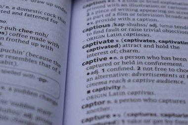 Definition Of English Dictionary Close Up Of Page Print With Word - captive