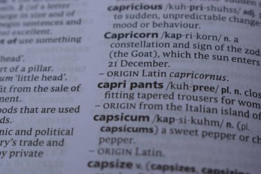 Kelime ile Sayfa Yazdırma Sözlüğünün Tanımı - Kapri pantolon