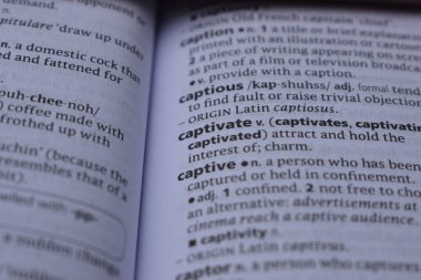 English Dictionary Page Print Close Up With The Word Meaning Of - captivate