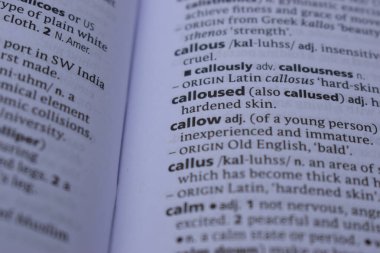 İngilizce Tanımlama Sözlüğü 'nün Yazdırılmış Sayfa Sözcüğünü Kapat - nadasa