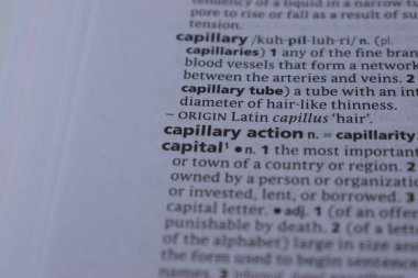 İngilizce Sözlük Sayfası Kılcal yazıcı eyleminin sözcüğüyle Kapat 