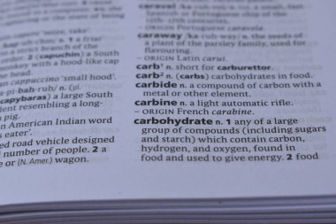 Kelime ile Sayfa Yazdırma Sözlüğünün Tanımı - karabina