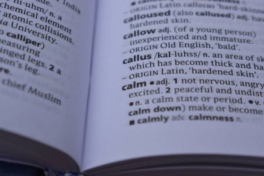 İngilizce Sözlük Sayfası Sükunet kelimesinin anlamı ile kapat