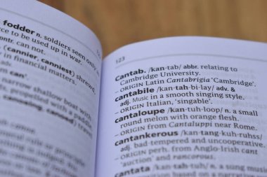 Kelime ile Sayfa Yazdırma Sözlüğünün Tanımı - cantabile