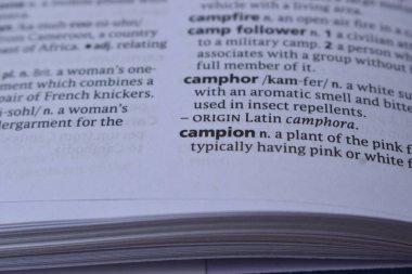 İngilizce Tanımlama Sözlüğü Kapalı Sayfa Sözlüğü - kampon