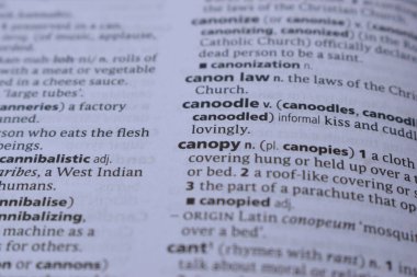 Kelime ile Sayfa Yazdırma Sözlüğünün Tanımı - Kanopi