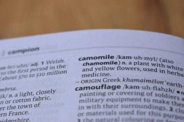 İngilizce Sözlük Sayfası Papatya 'nın Anlamı Sözcüğünü Kapat