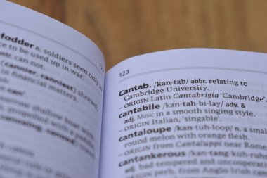 İngilizce Tanımlama Sözlüğünün Kapat Sayfa Kelimesi - Cantab