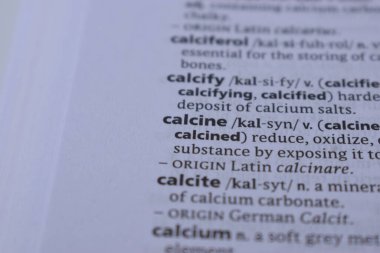 Kelime ile Sayfa Yazdırma Sözlüğünün Tanımı - kalsin