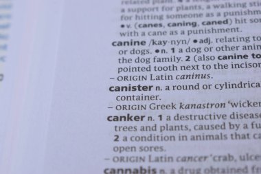 İngilizce Sözlük Sayfası Yazdırma Kutusunun Anlamı Sözcüğünü Kapat