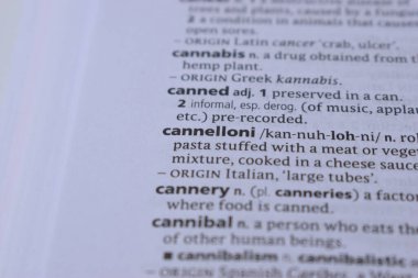 Kelime ile Sayfa Yazdırma Sözlüğünün Tanımı - cannelloni