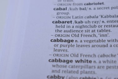 Kelime ile Sayfa Yazdırma Sözlüğünün Tanımı - lahana