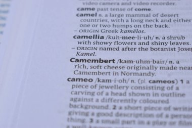 Kelime ile Sayfa Yazdırma Sözlüğünün Tanımı - camembert