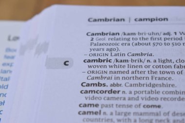 Kelime ile Sayfa Yazdırma Sözlüğünün Tanımı - Cambric