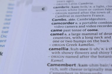 İngilizce Sözlüğün Tanımı Kelime ile Sayfayı Kapat - deve 