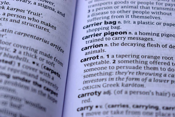 İngilizce sözlük sayfası - leş kelimesinin anlamı ile kapat