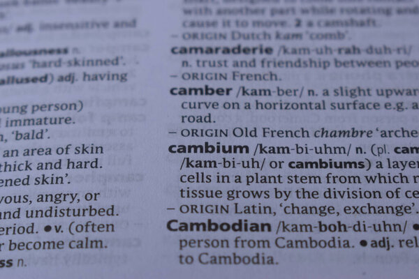 Close Up Of English Definition Dictionary Printed Page Word Of - cambium