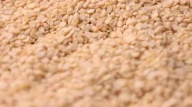 Raw Split Kurutulmuş Beyaz Urad Dal Damlacık- Bölünmüş Siyah Gram Mercekleri İzole