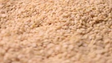 Raw Split Kurutulmuş Beyaz Urad Dal Damlacık- Bölünmüş Siyah Gram Mercekleri İzole