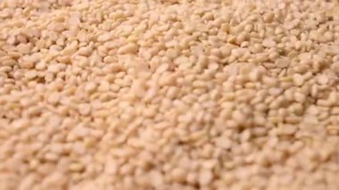 Raw Split Kurutulmuş Beyaz Urad Dal - Bölünmüş Çiğ Siyah Gram Mercekleri İzole Edildi