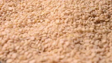 Raw Split Kurutulmuş Beyaz Urad Dal - Bölünmüş Çiğ Siyah Gram Mercekleri İzole Edildi