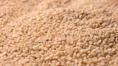 Raw Split Kurutulmuş Beyaz Urad Dal - Bölünmüş Çiğ Siyah Gram Mercekleri İzole Edildi