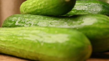 Taze Organik Tüm Çiğ Yeşil Salatalıklar