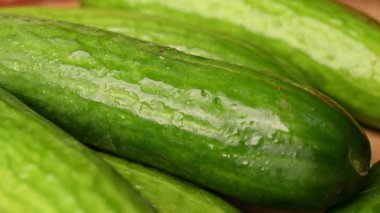 Taze Organik Tüm Çiğ Yeşil Salatalıklar