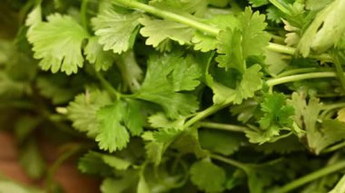 Yeşil Maydanoz Yaprakları 'nın Kapanışı. Taze Kişniş Yaprakları