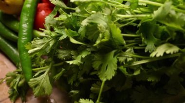 Yeşil Maydanoz Yaprakları 'nın Kapanışı. Taze Kişniş Yaprakları