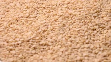 Beyaz Bölünmüş Urad Dal Dokusu Üst Görünüm - Raw Bölünmüş Kurumuş Beyaz Urad Dal - Bölünmüş Siyah Gram Mercekleri İzole